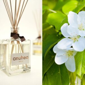 Anuhea White Tea pálcikás illatosító 40ml